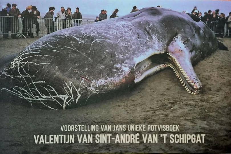 Boekvoorstelling potvis Valentijn van Sint André