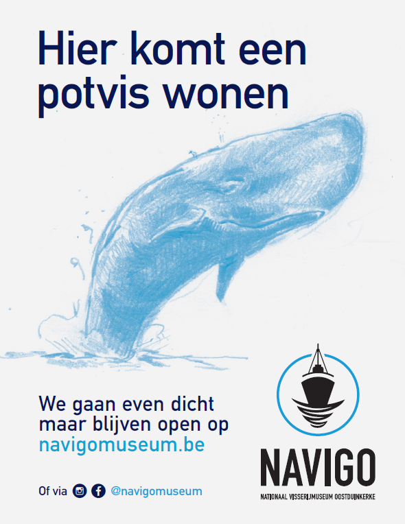 in NAVIGO-museum komt een potvis wonen! 
