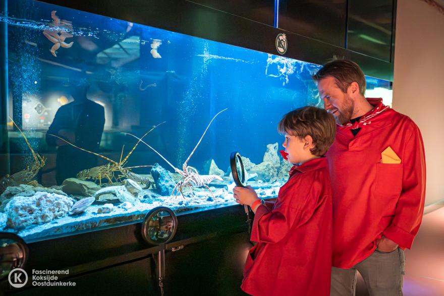 Een nacht in het museum 2026