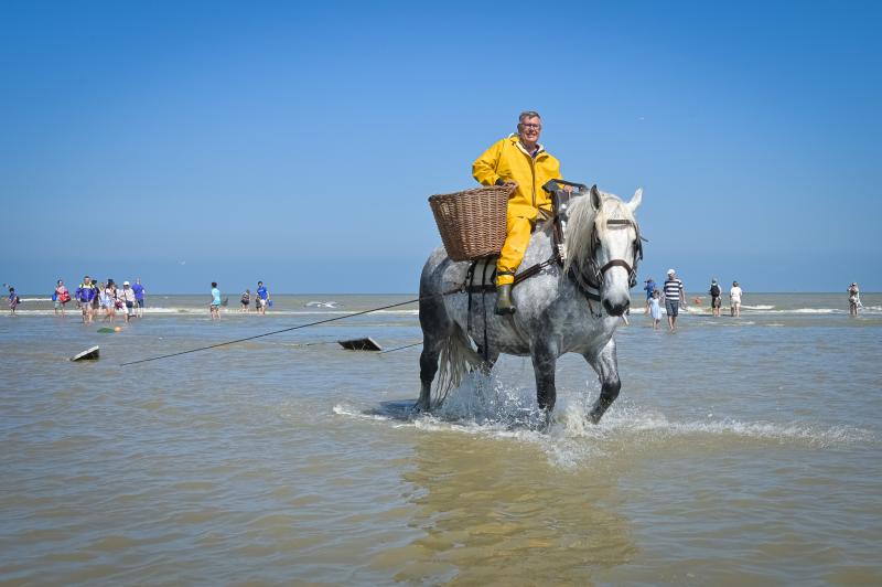 Pêcheurs de crevettes à cheval